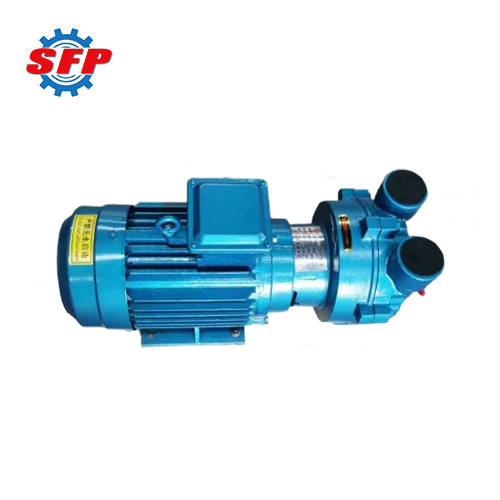 2BV Series Sugar Evaporation Liquid Ring Vacuum Pumps