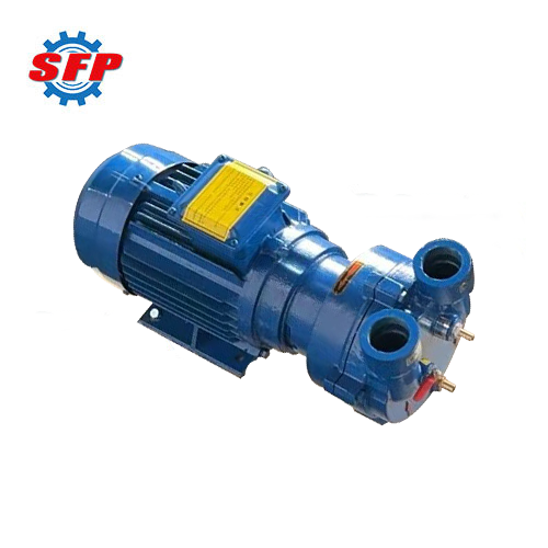 2BV Industrial Vacuum Pump