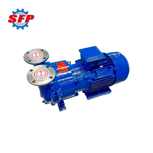 2BV Liquid Ring Vacuum Pump