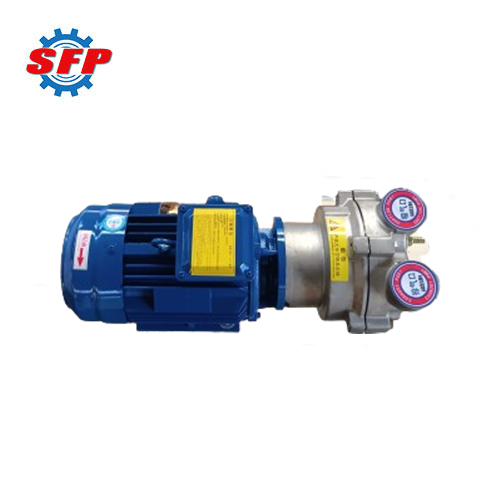 2BV Series Liquid Vacuum Pump for Sale