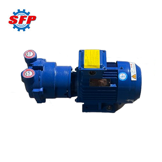 2BV Vacuum Pump
