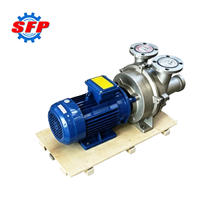 2BV Vacuum Pump