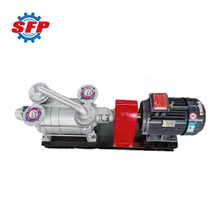 2SK Stainless Steel Vacuum Pumps