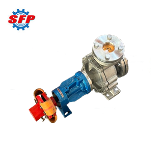 RY Thermal Oil Pump Head