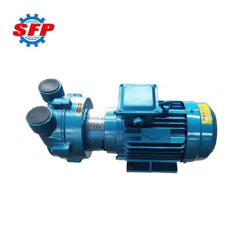 2BV Liquid Ring Vacuum Pump