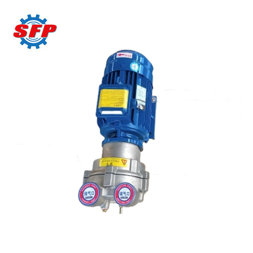 2BV Industrial Vacuum Pump