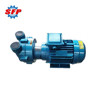 2BV Explosion Proof Vacuum Pumps