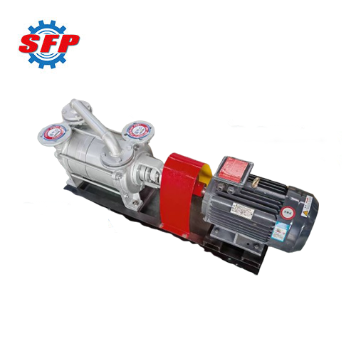 2SK Liquid Ring Vacuum Pump