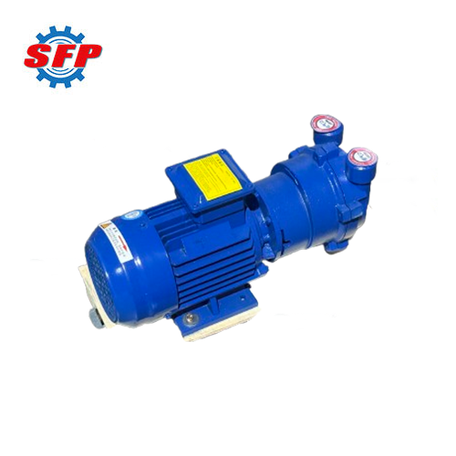 2BV Series Sugar Processing Liquid Ring Vacuum Pumps
