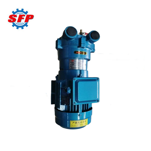 2BV Industrial Vacuum Pump