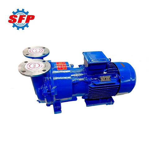 2BV Series Small Vacuum Pump