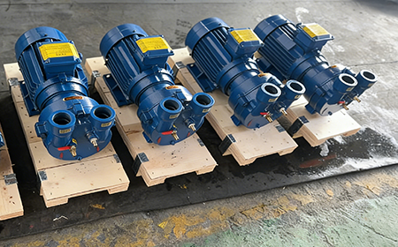 2BV Series Vacuum Pump for Sale