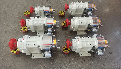 lobe rotor pump