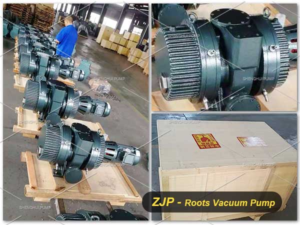 ZJP-roots-vacuum-pump
