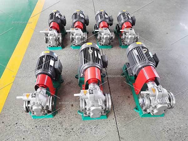 gear pump with safety valve