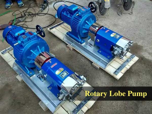 influence temperature rotary lobe pump