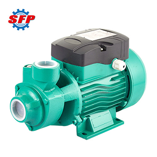 domestic water pump