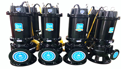 WQ Series Sewage Centrifugal Pump
