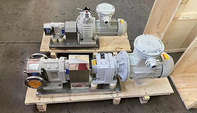 Twin Rotor Rotary Lobe Pump