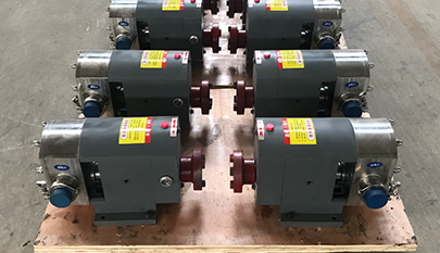 stainless steel food grade rotary lobe pump