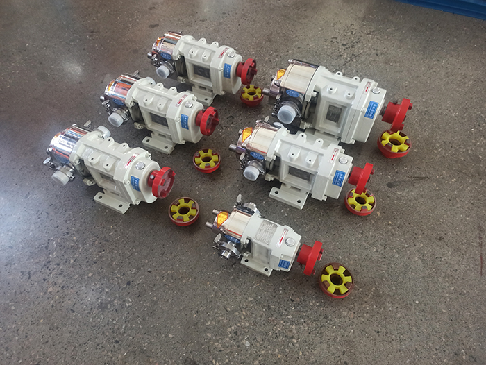 Transfer Rotary Lobe Pump