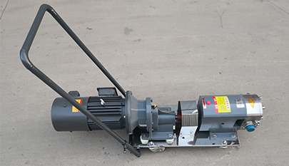 Rotary lobe pump