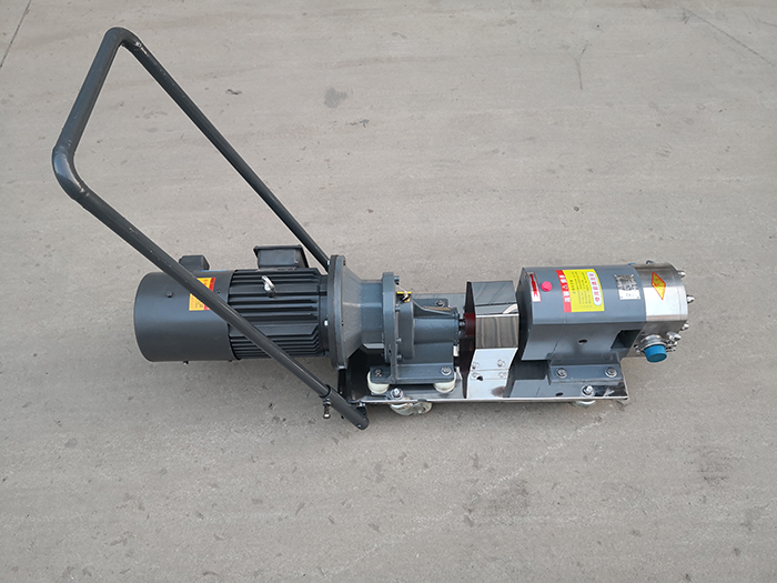 Rotary lobe pump
