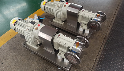 Lobe Transfer Pump