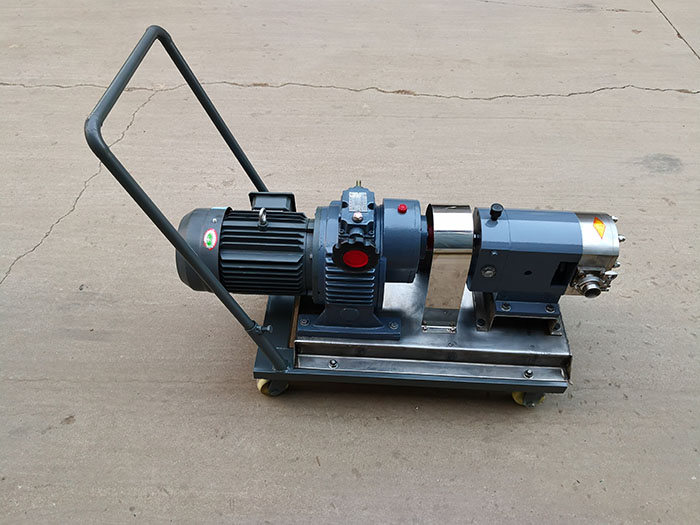Mobile stainless steel rotor pump