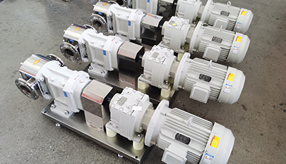 Rotary lobe pump