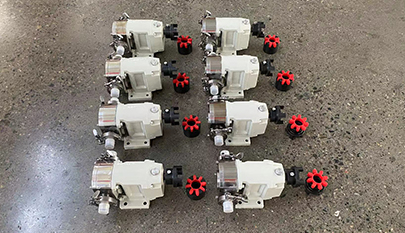 Stainless Steel Rotary Lobe Pump