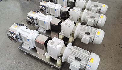 Rotary Lobe Pump