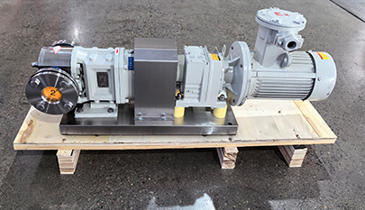 SS304 SS316L Stainless Steel Rotary Lobe Pump