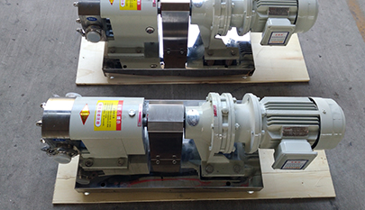 Rotary Lobe Pump