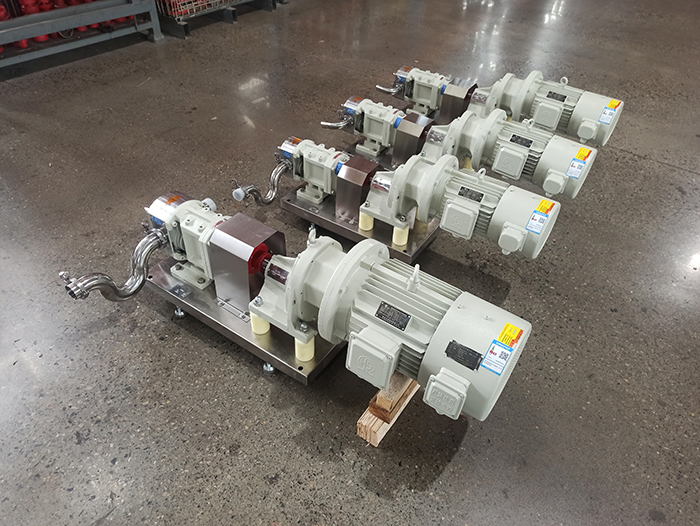 Stainless steel transfer chocolate lobe pump