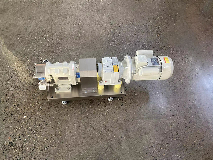 Rotary Lobe Pump