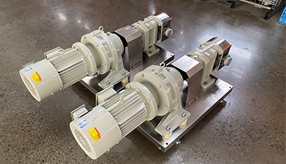 Stainless steel rotary lobe pump