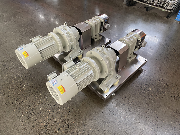 Stainless steel rotary lobe pump