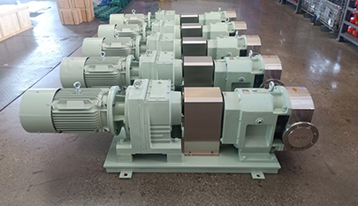 Stainless steel rotary lobe pump