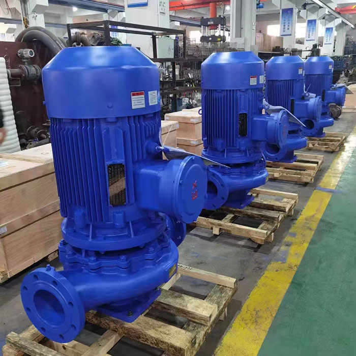 Vertical pipe pump