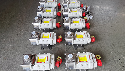 stainless steel rotor pump