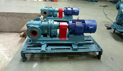 Rotary lobe pump