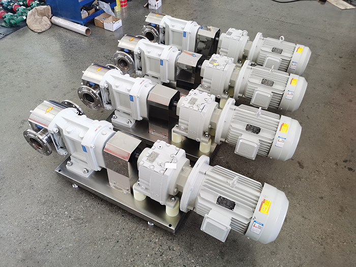 Rotary rotor pump