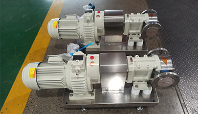 Rotary Lobe Pump
