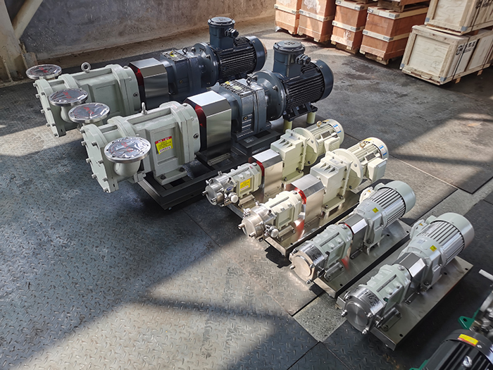 Rotary rotor pumps